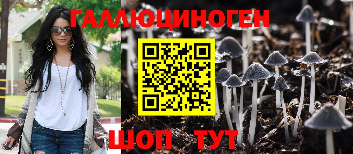 Псилоцибиновые грибы MAGIC MUSHROOMS Сургут